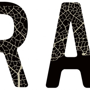 LOGO HP TRON RACINES